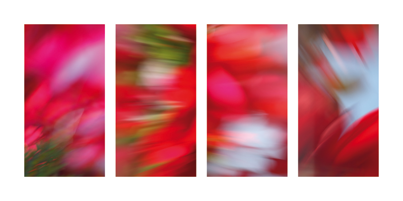 Tanz der Farben von Claire Santal