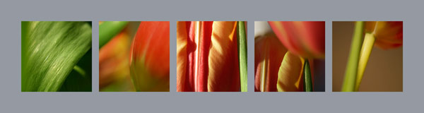 A daintree 5er 2 blau von Claire Santal