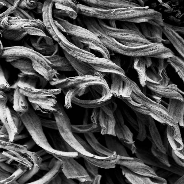 Geflecht von Claire Santal