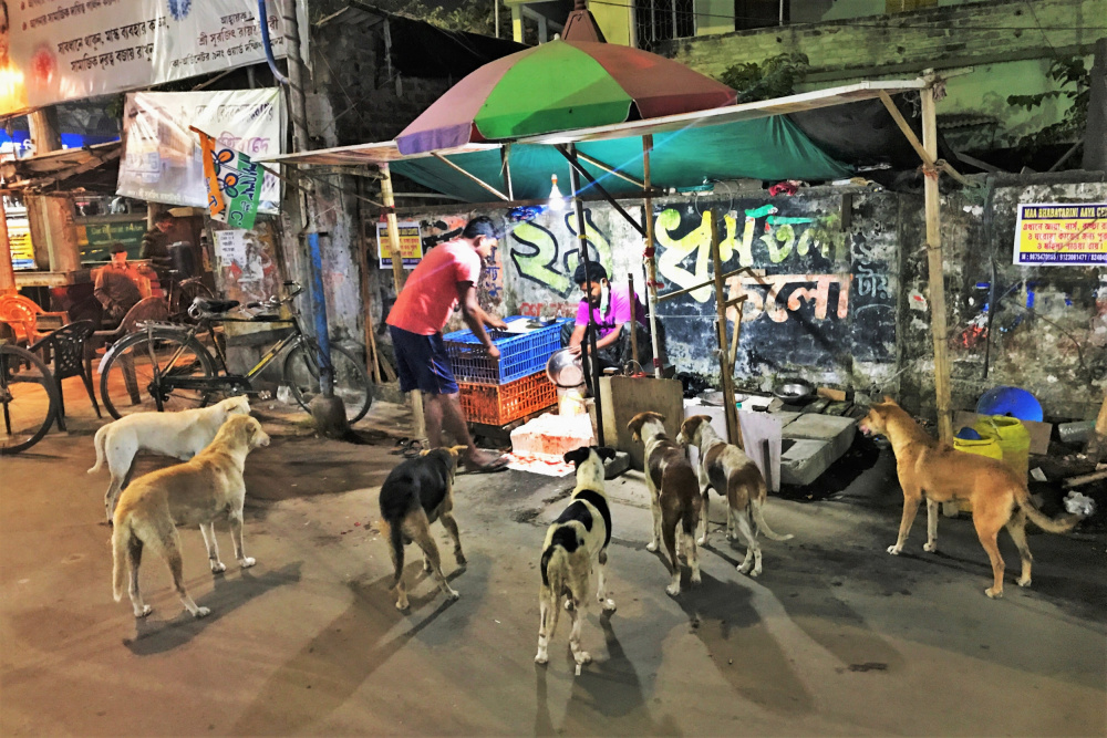 The chicken shop, and its customers. Calcutta. von Santanu Sengupta