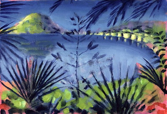 Across the Lake (oil on card)  von Sara  Hayward