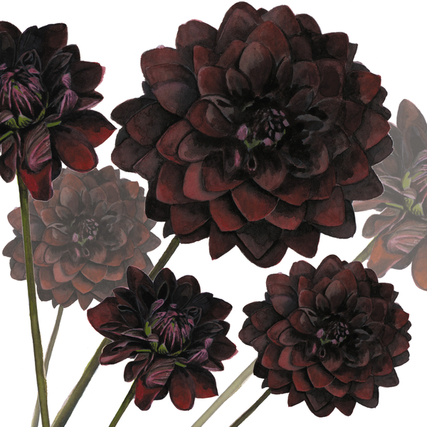 Arabian Night von Sarah Hough