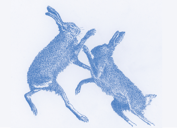 Boxing Hares von Sarah Hough