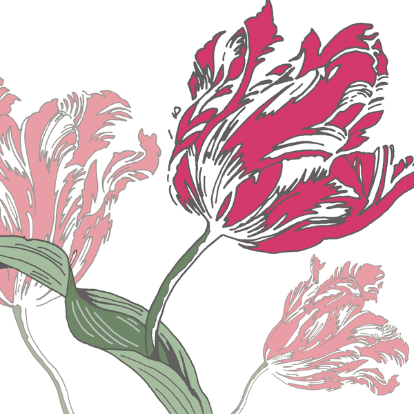 Going Dutch von Sarah Hough