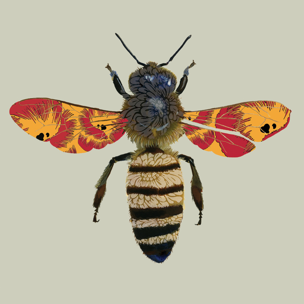 Honey Bee von Sarah Hough