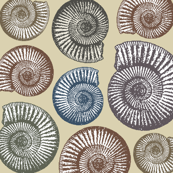 Jurassic Coast von Sarah Hough