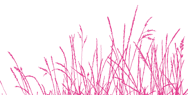 Wild Whisper von Sarah Hough