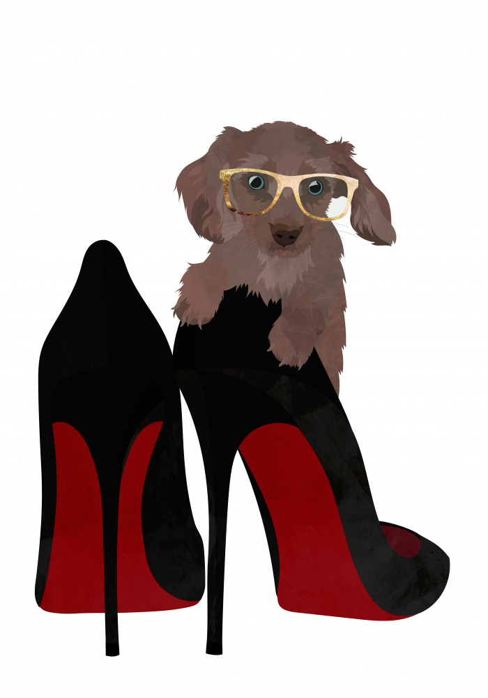 Daschand Shoe von Sarah Manovski