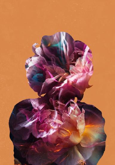 Marilyn Monroe Orange