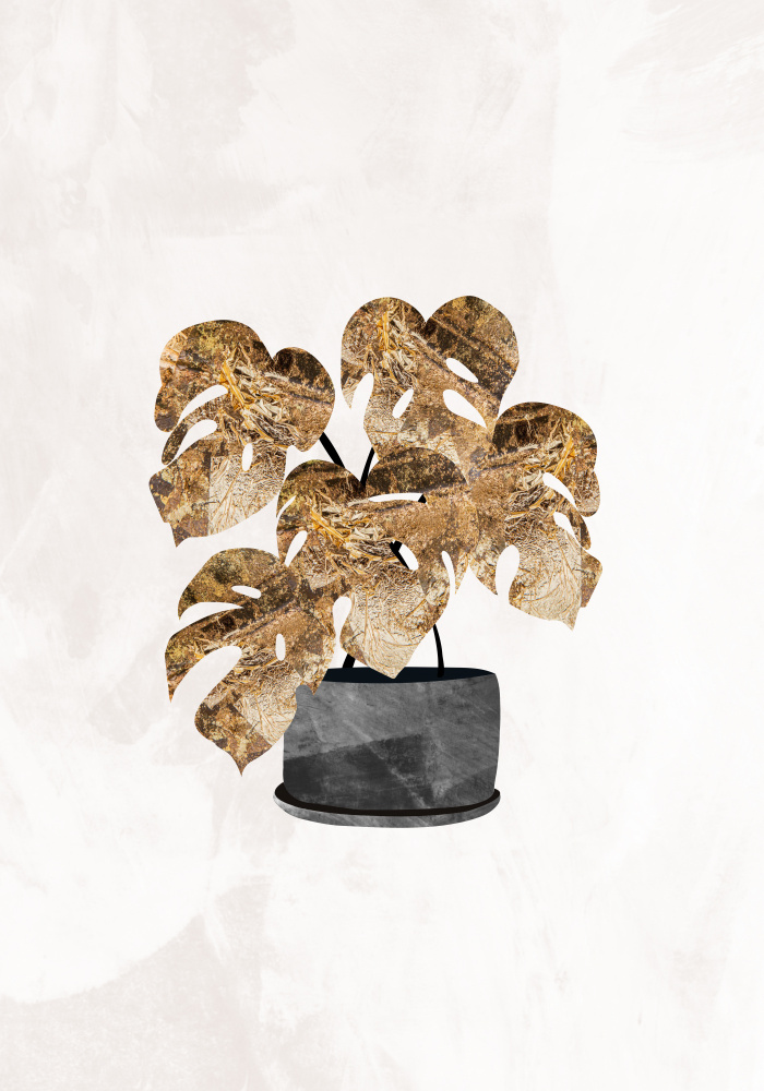 Black and gold house plant 5 von Sarah Manovski