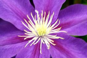 Serenity (colour photo) 