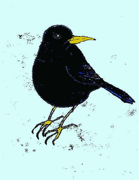 Blackbird von Sarah Thompson-Engels