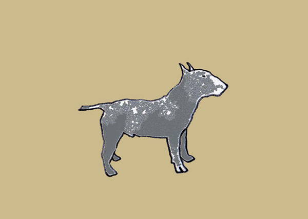 Bull terrier von Sarah Thompson-Engels