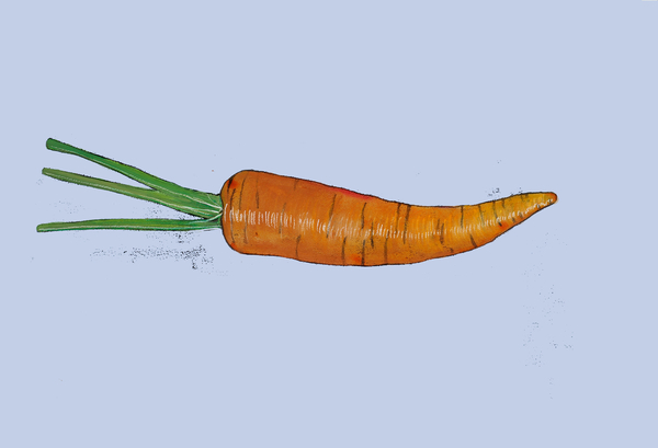 Carrot von Sarah Thompson-Engels