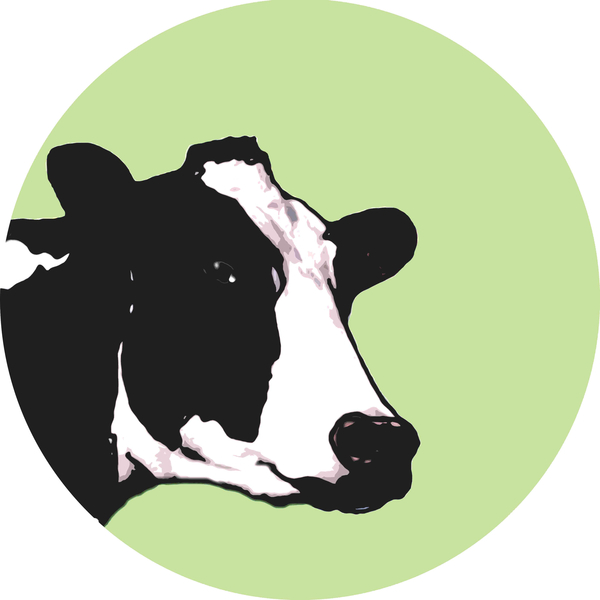 Cow von Sarah Thompson-Engels