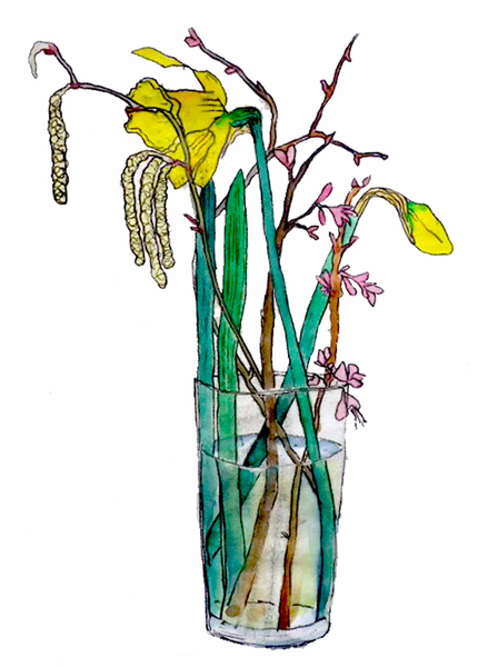 Daffodils and catkins von Sarah Thompson-Engels