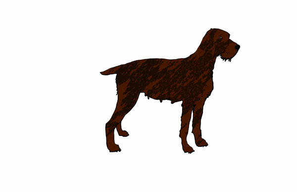 dog von Sarah Thompson-Engels