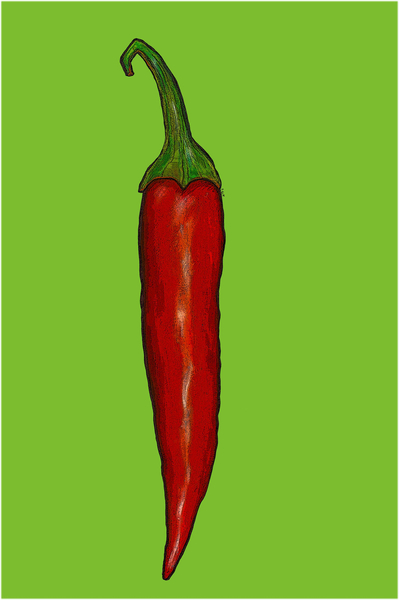 red hot chilli pepper von Sarah Thompson-Engels