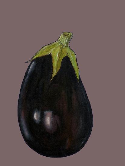 Aubergine