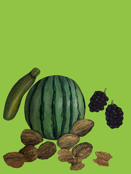 tout von Sarah Thompson-Engels