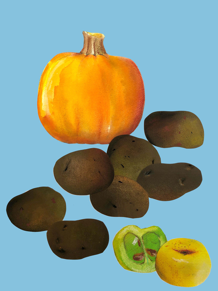 tout von Sarah Thompson-Engels