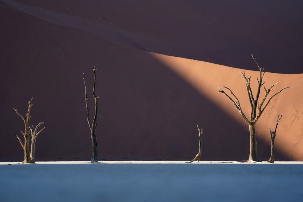Deadvlei von Sarawut Intarob