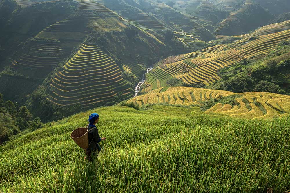 Ohne Titel von Sarawut Intarob