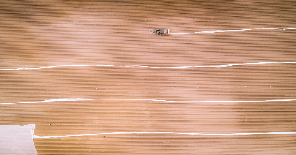 Stripes von Saša Pezelj