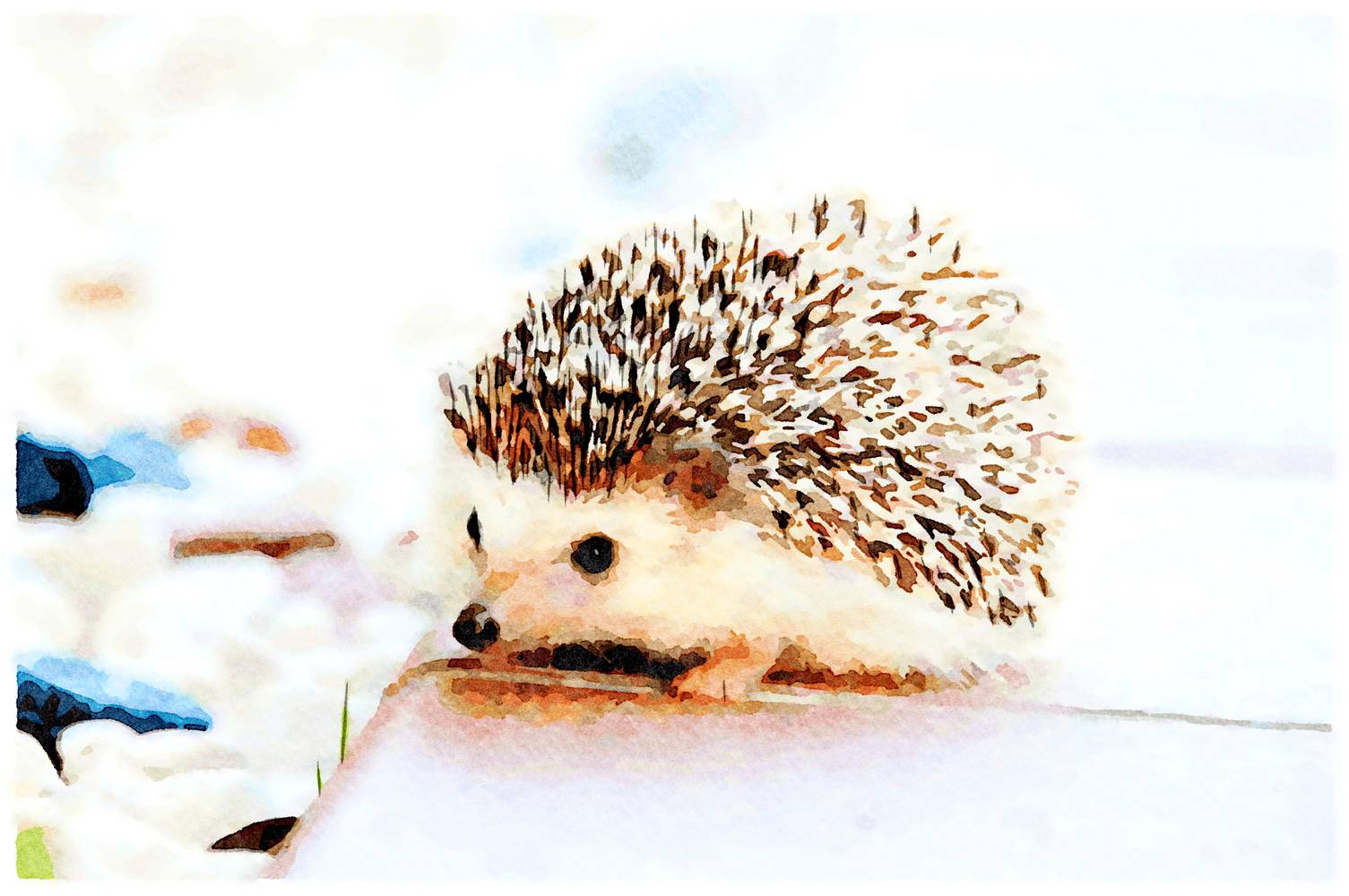 Igel III von Saskia Ben Jemaa