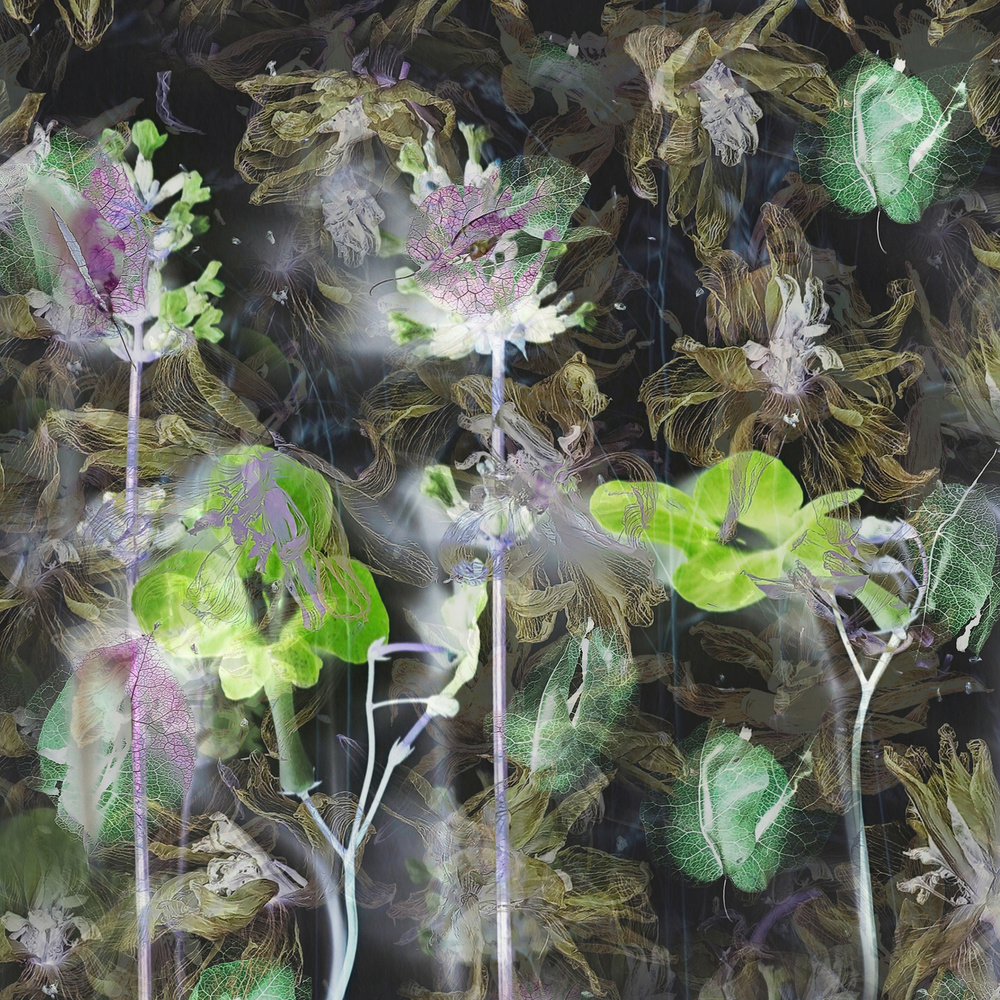 Abstract flowers von Saskia Dingemans
