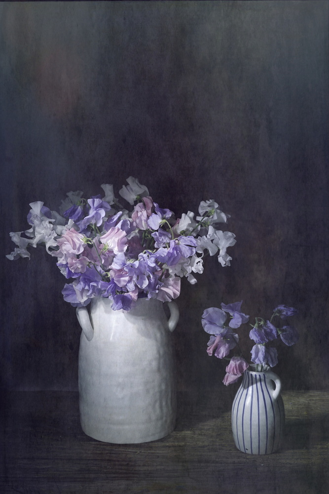 Etherial Lathyrus von Saskia Dingemans