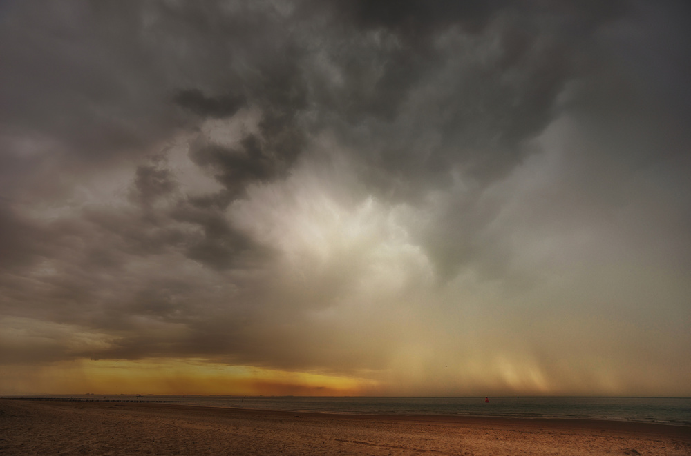 So Dutch von Saskia Dingemans