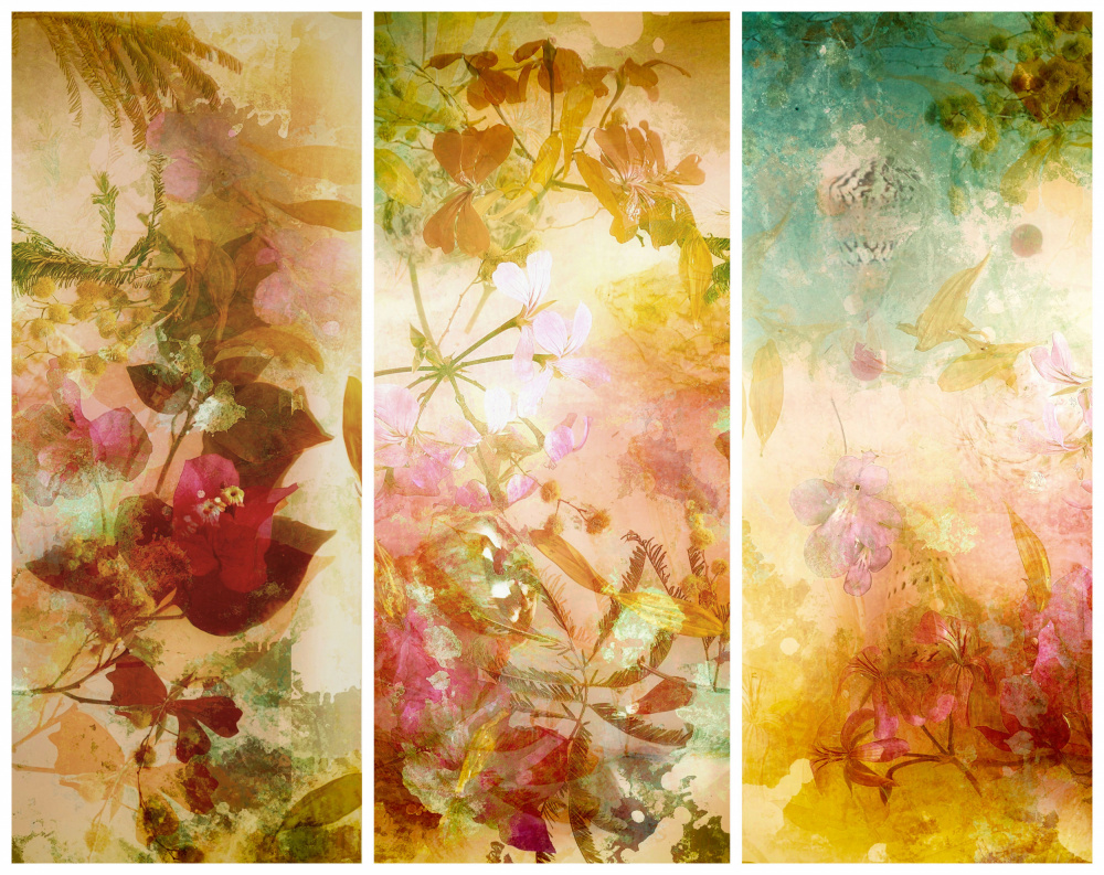 Flower abstractions  with mimosa, shells ,bougainvillea  floating in water.. Trilogy . von Saskia Dingemans