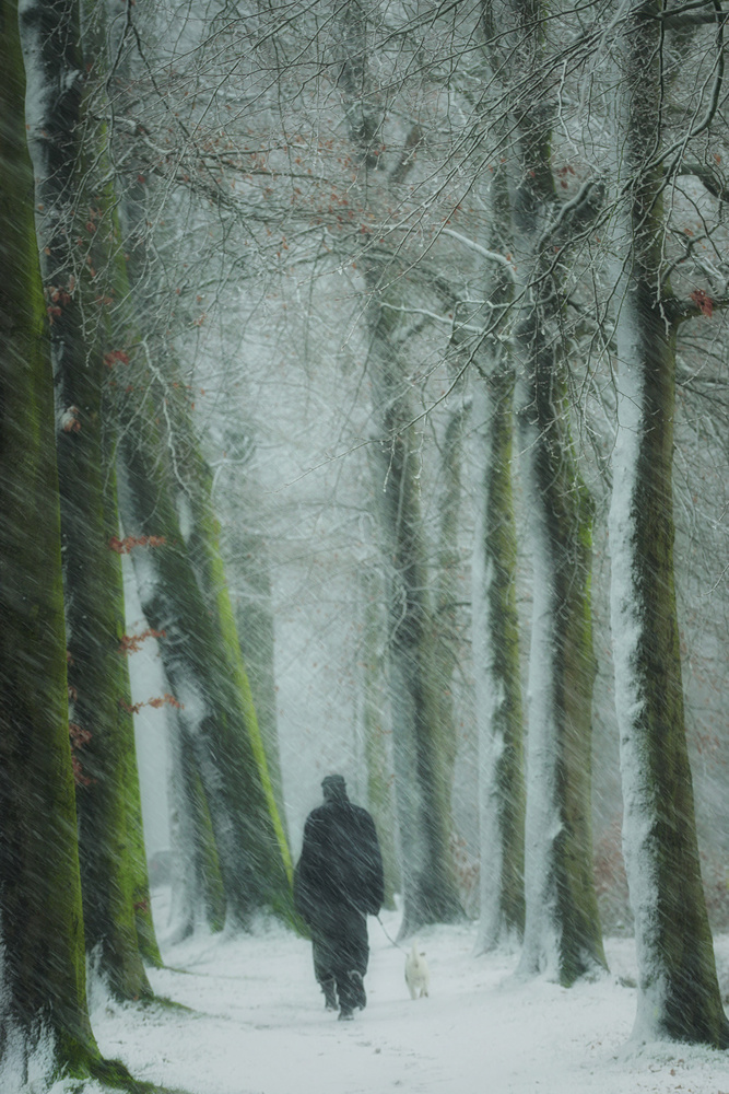 The walker von Saskia Dingemans