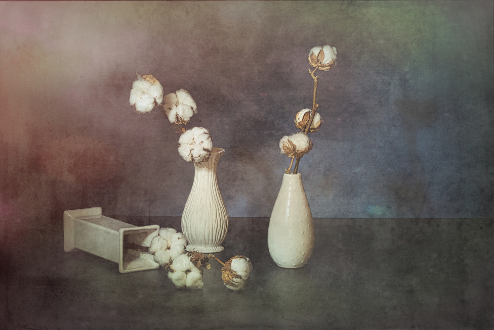 The smell of cotton. von Saskia Dingemans