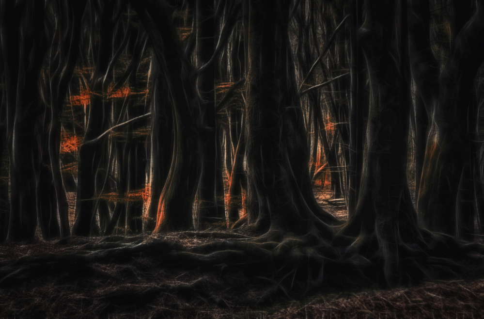 The forest of dancing trees von Saskia Dingemans