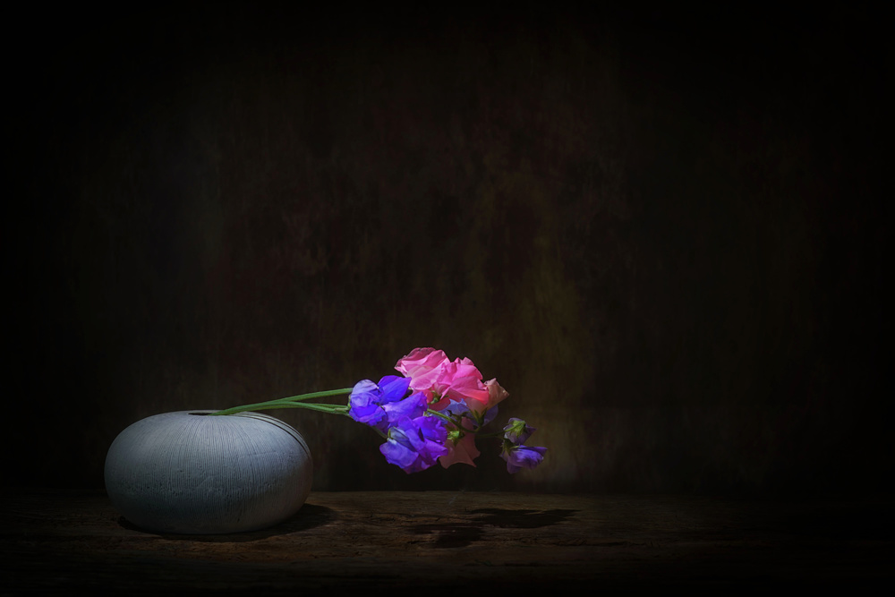 Printemps von Saskia Dingemans