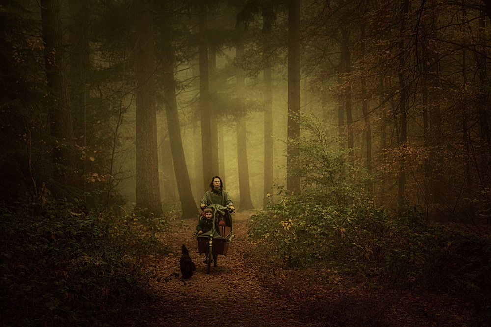 A foggy morning von Saskia Dingemans