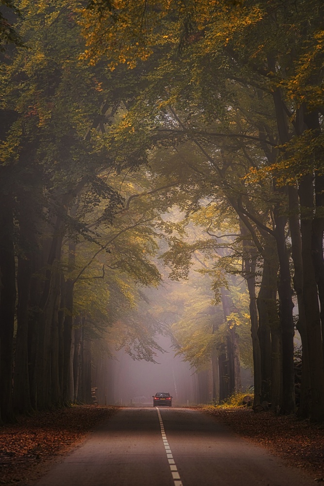Gradients in green. von Saskia Dingemans