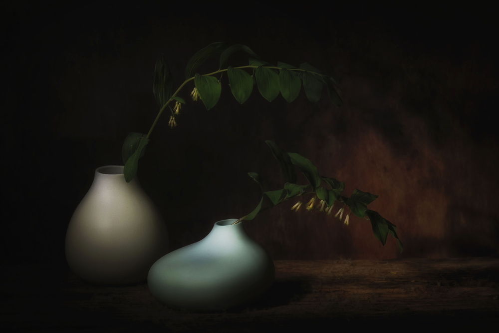 Apart together von Saskia Dingemans