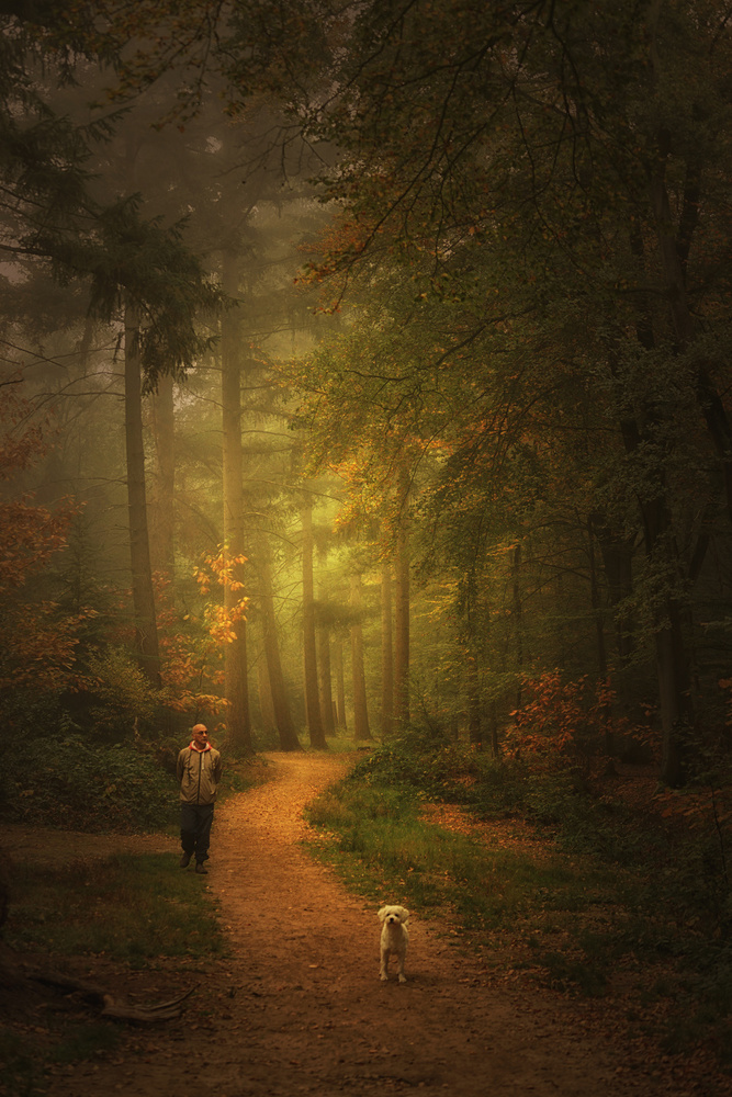 Autumn Dream von Saskia Dingemans