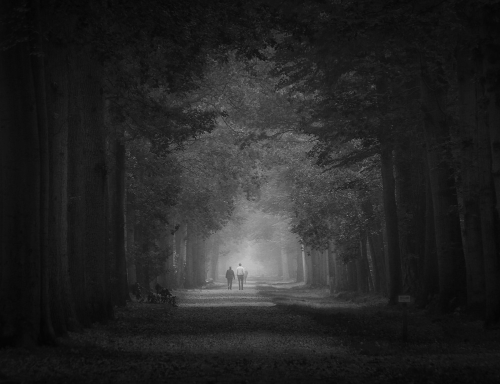 Frozen in Autumn von Saskia Dingemans