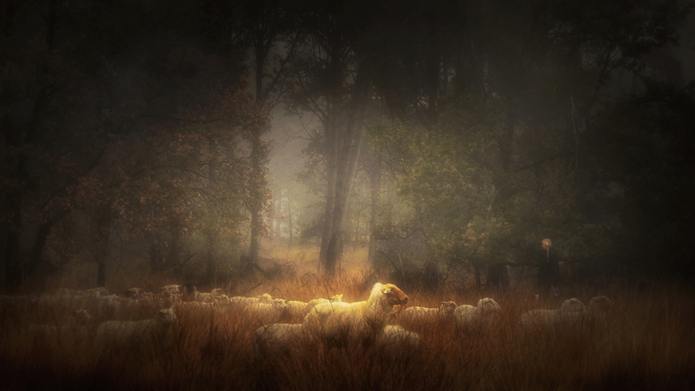 Frozen in time von Saskia Dingemans