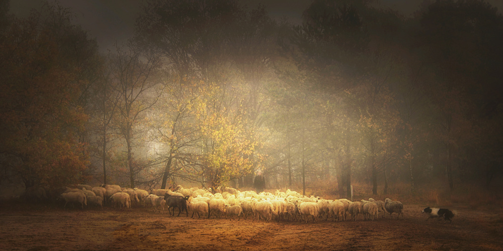 Frozen in time von Saskia Dingemans