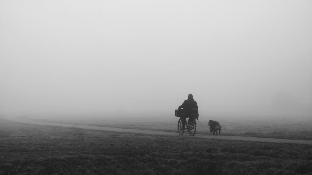 Into the white wall von Saskia Dingemans