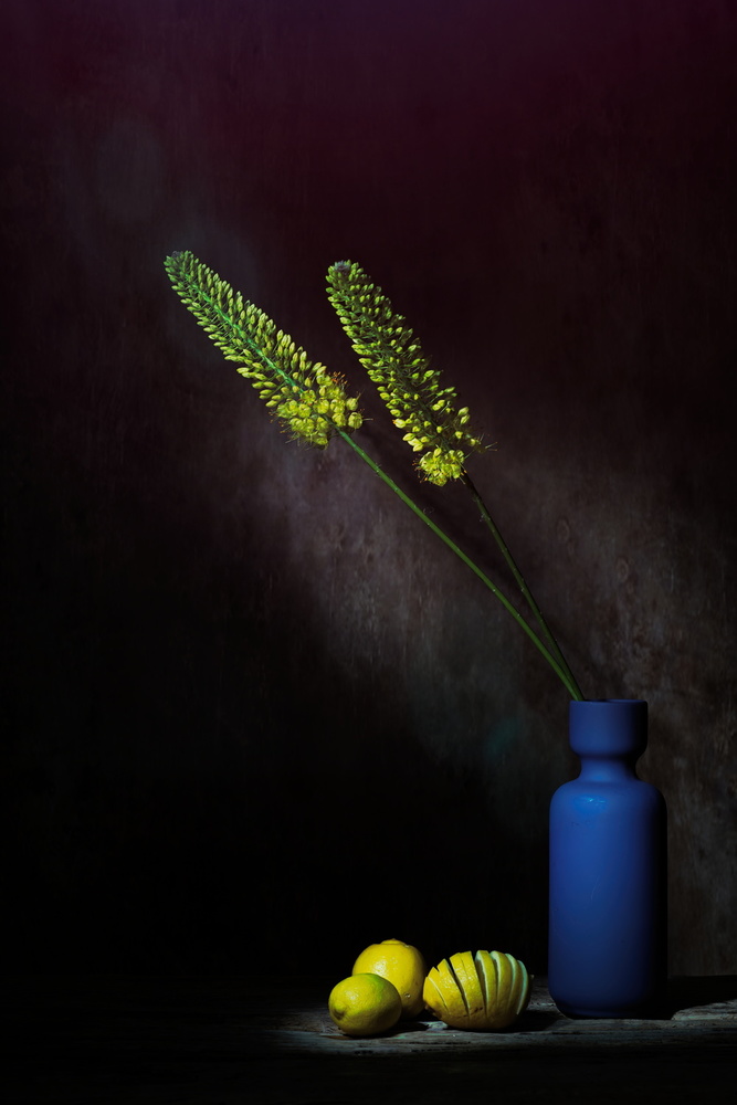 Frozen in yellow von Saskia Dingemans