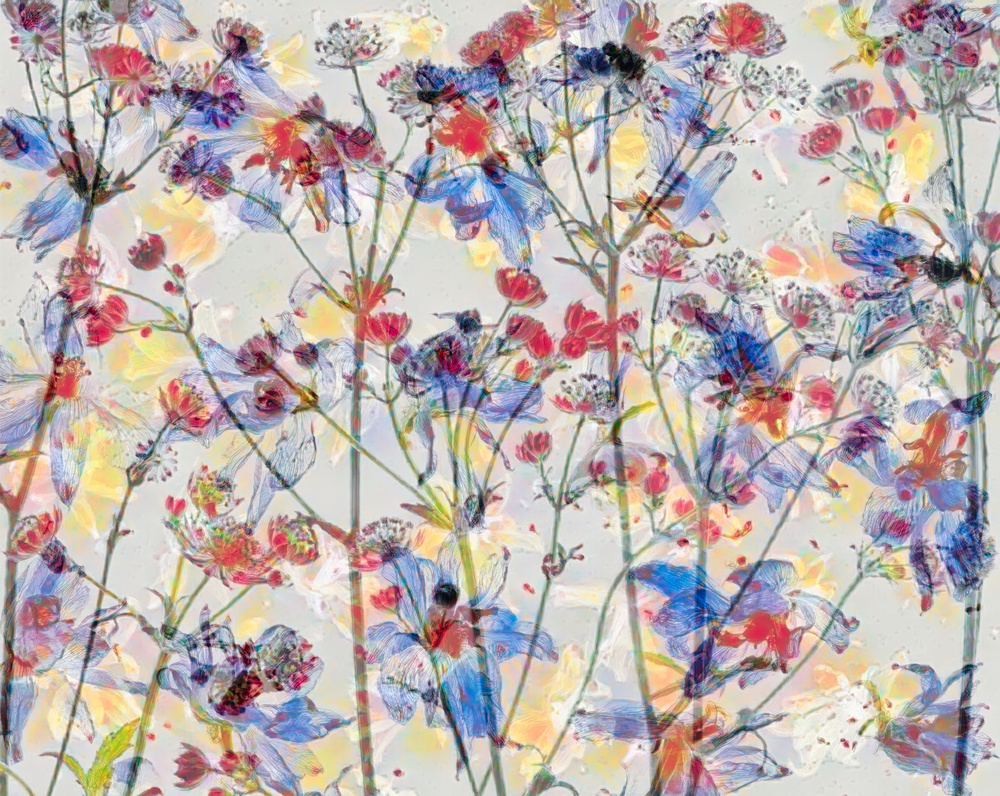 Painterly flowers. von Saskia Dingemans