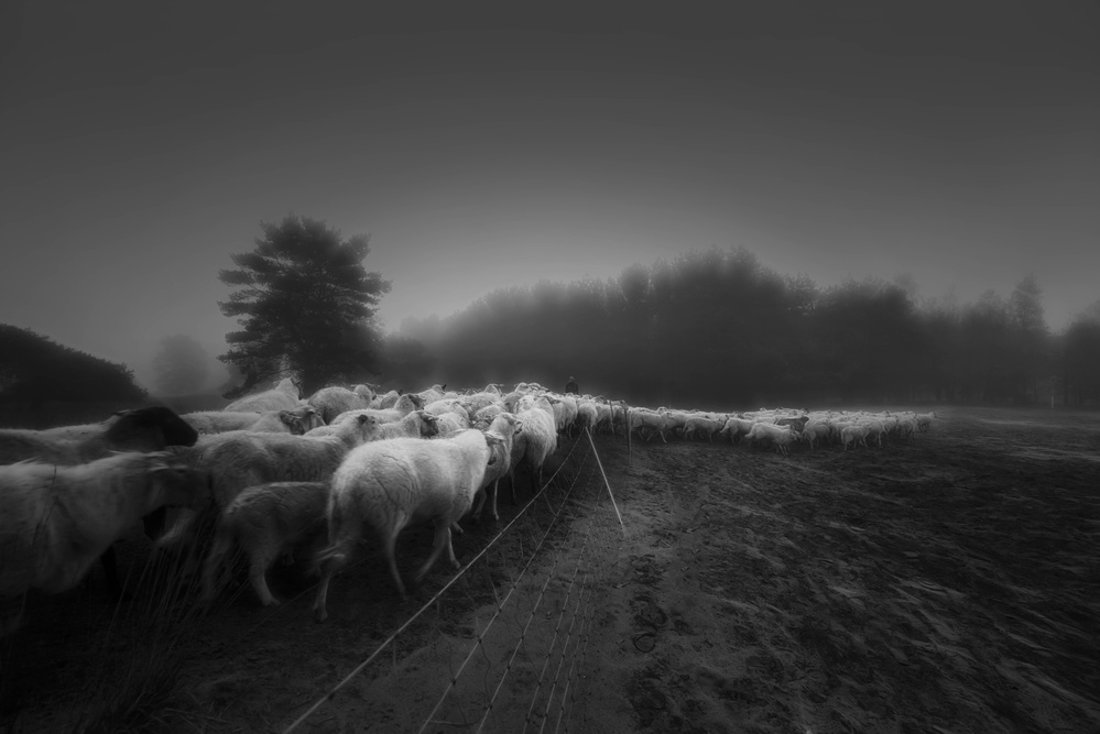 Foggy memory  of the past von Saskia Dingemans
