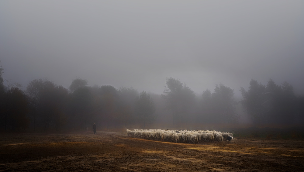 Foggy memory  of the past von Saskia Dingemans