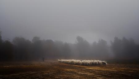 Foggy memory  of the past